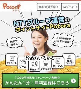 ポトラ詳細レビュー