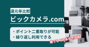 「ビックカメラ.com」どのポイントサイト経由がお得か！ポイント二重取りできるポイ活術